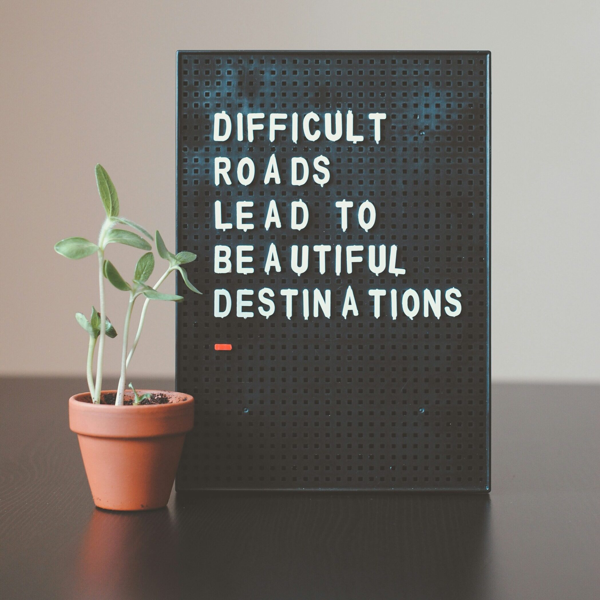 Difficult roads lead to beautiful destinations with a potted plant.